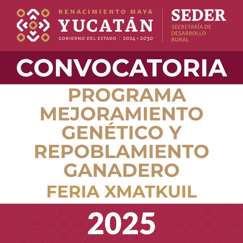 convocatoria de Xmatkuil 2025
