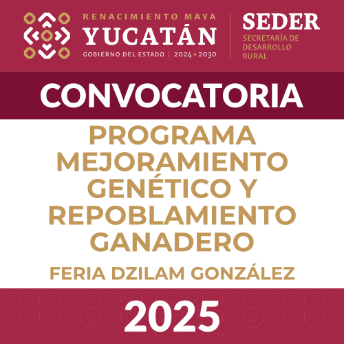 mejoramiento feria Dzimlan Gonzalez 2024